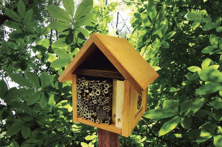 Bee Houses for Native Solitary Bees
