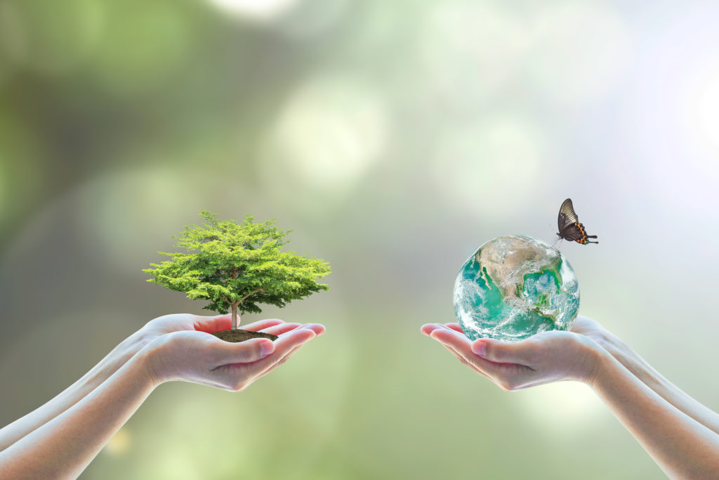 National Environmental Education Week