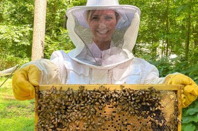 Oasis Garden Hive: Adding Community Hives to Shared Spaces