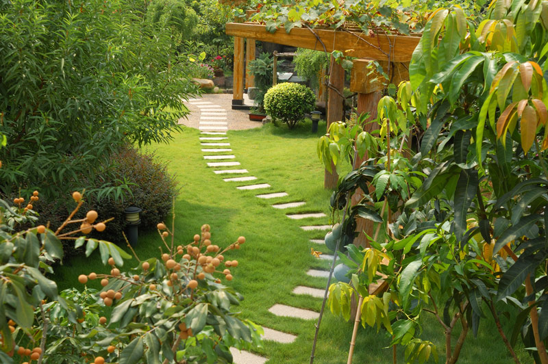How to Create a Garden Oasis