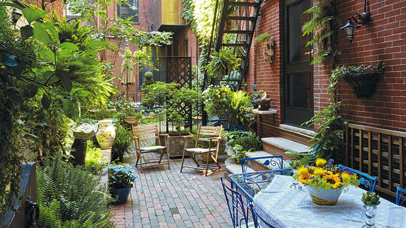 Urban Garden Oasis