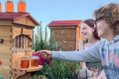 DIY Cedar Bee House: Guide and Tips