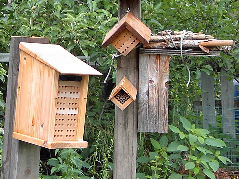 Bee houses