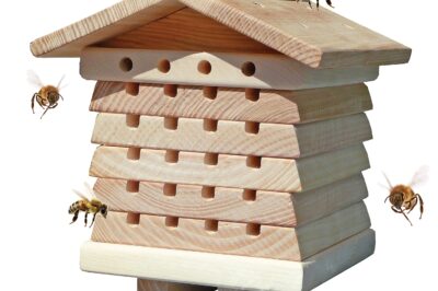 Best Wooden Bee Houses to Attract Native Bees