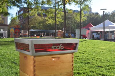 High-Tech Beekeeping: Smart Hive Management Solutions & Tools