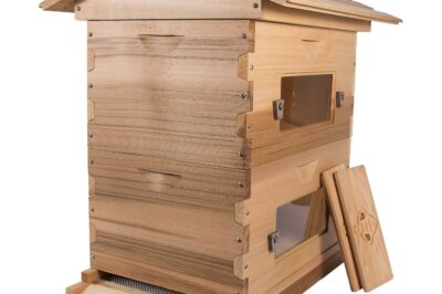 Langstroth Hive Setup Guide & Best Practices for Beginners