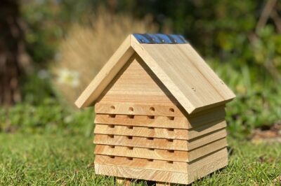 Best Wooden Bee Houses, Top Quality & Reviews