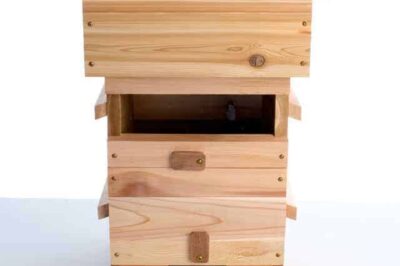 Warre Hive Seasonal Maintenance Checklist & Tips