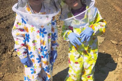 Best Kids Beekeeping Suits: Safe Young Beekeeper Options & Reviews