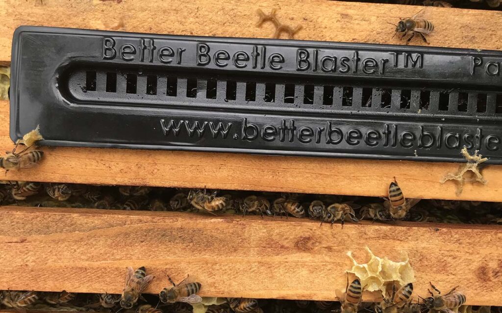 Small Hive Beetle Trap