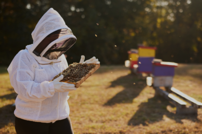 Ultra Breeze Beekeeping Suits DIY Fixes & Solutions