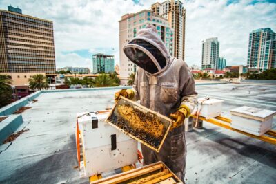 Urban Beekeeping Tips: Utilize Nucleus Colony (Nuc) in Small Spaces