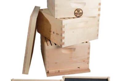 Beginner Beehive Kit Setup Guide & Backyard Tips