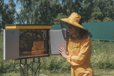 Sustainable Beekeeping Practices, Recycled Hive Components & Eco-friendly Methods