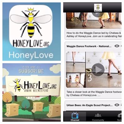 Beekeeping: There is an app for that 