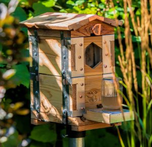 Mini Urban Beehives