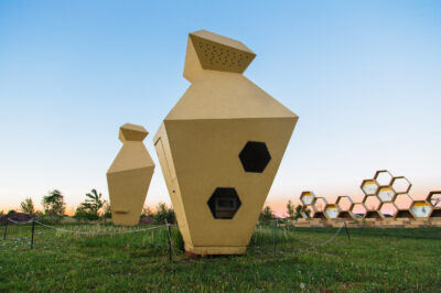 Urban Hive Management Varroa Control Kits Seasonal Guide