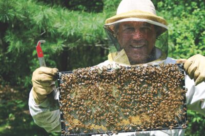 Natural Hive Management Tools & Techniques: Inside Look