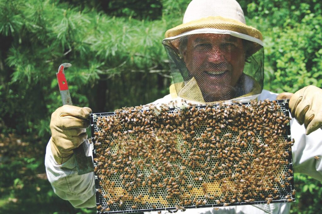 Beekeeper