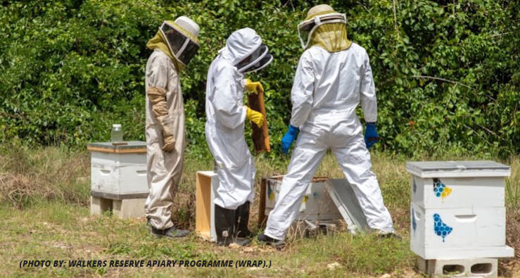 Beekeepers and Equipment