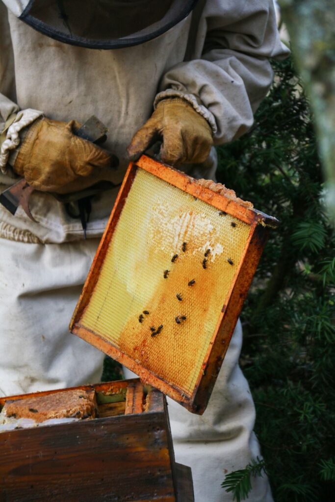Beekeeper