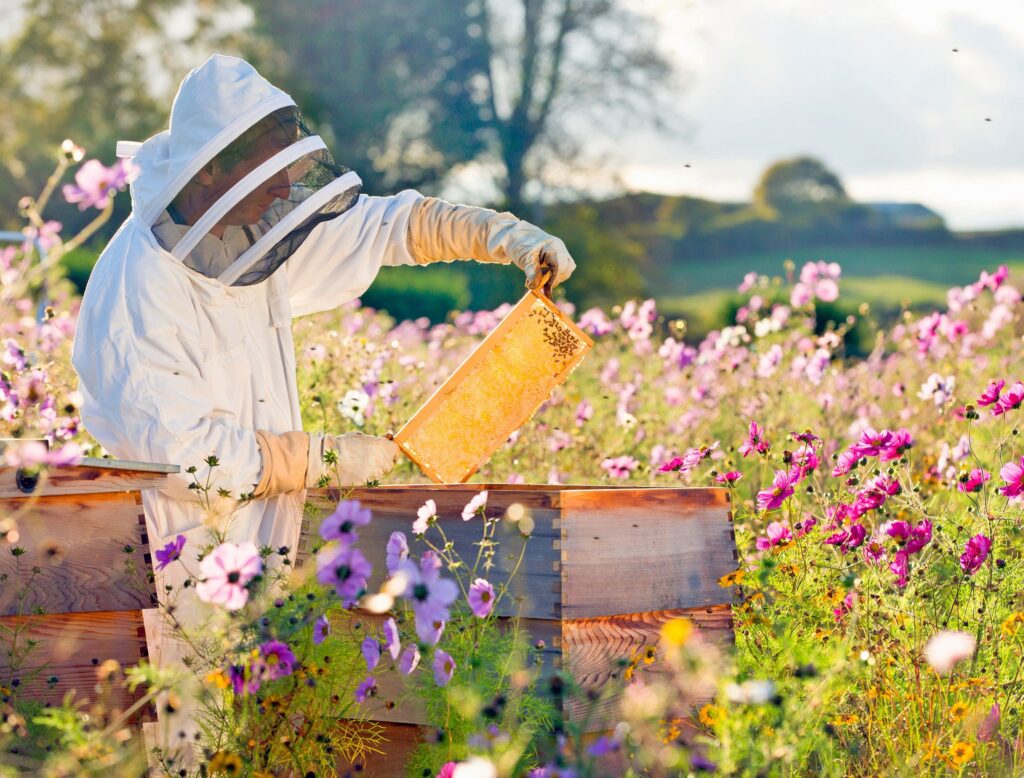 Urban Beekeeper