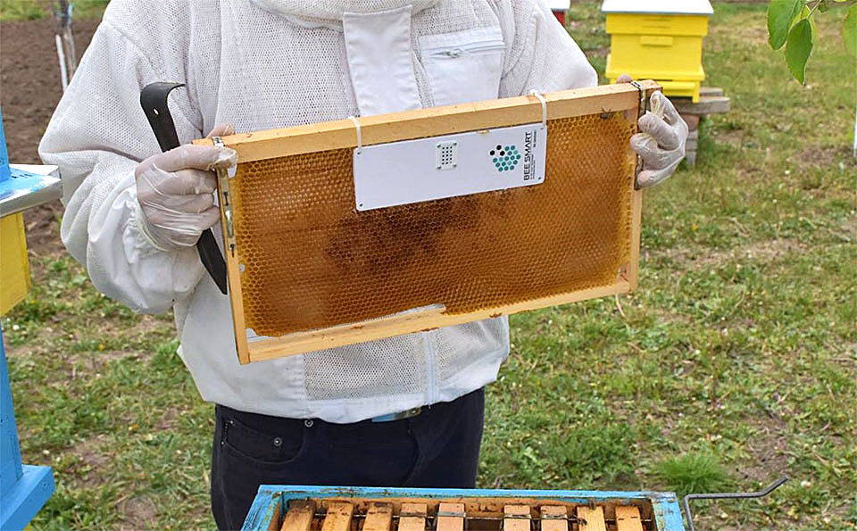 a beekeeper showing a Smart Hives Remote Hive Monitoring System