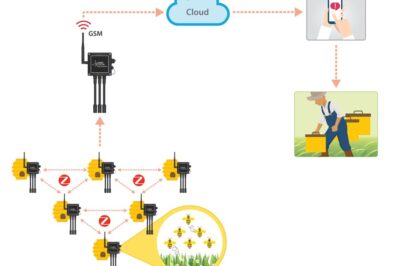 Best Remote Hive Monitoring Systems: Top Technological Solutions