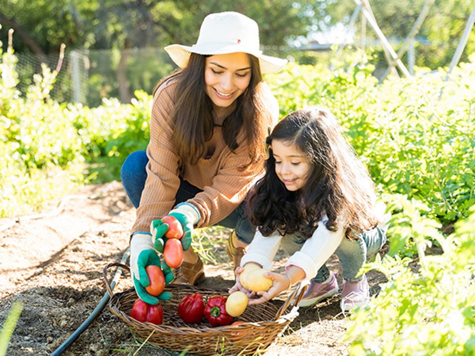 Gardeners