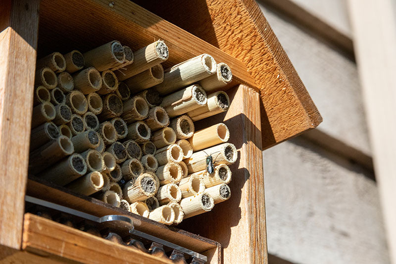 DIY - Solitary Bee House