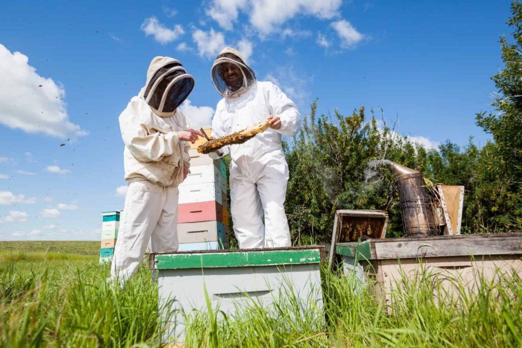 beekeepers