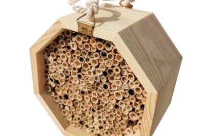 Craft Perfect Bamboo Bee House: Step-by-Step Guide & Tips