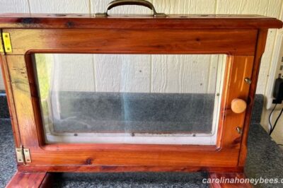Portable Observation Hives Success Stories & Creative Uses